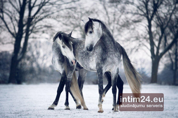 Ищу подругу