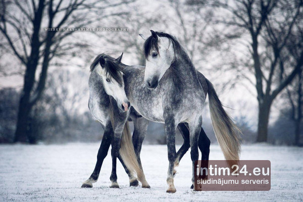 Ищу подругу