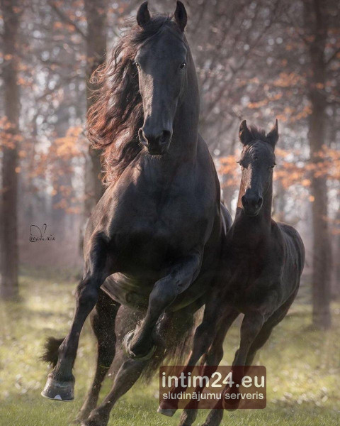 Ищу подругу