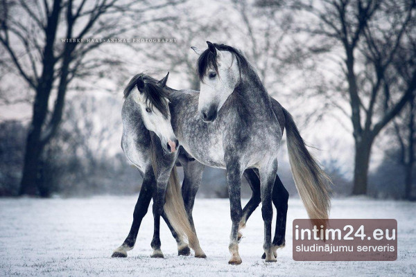 Ищу подругу