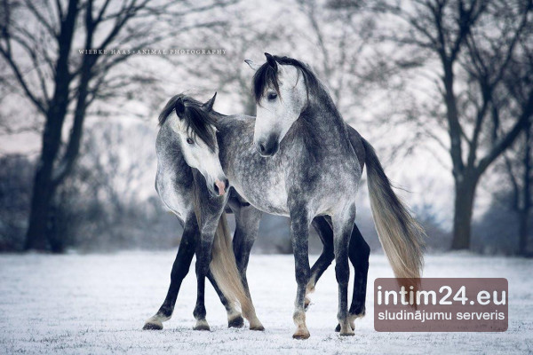 Ищу подругу