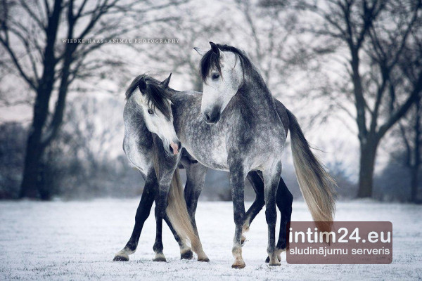 Ищу подругу