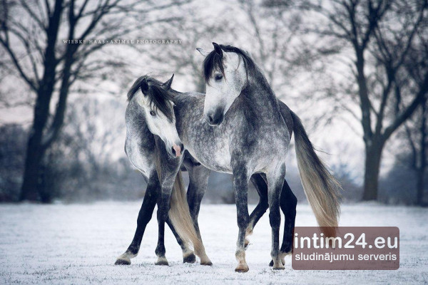 Ищу подругу