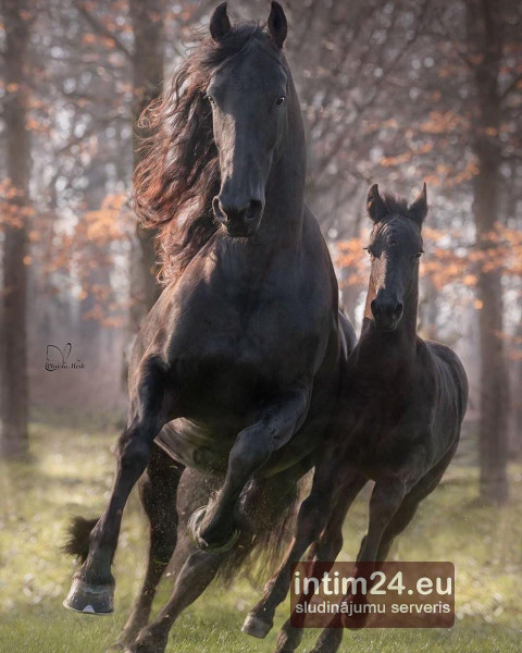 Ищу подругу