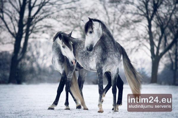 Ищу подругу