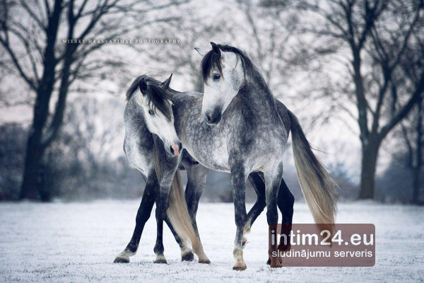 Ищу подругу