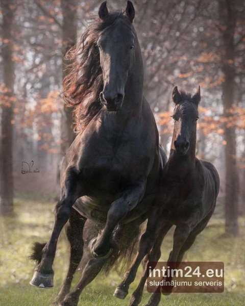 Ищу подругу