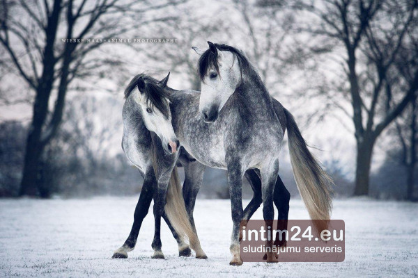 Ищу подругу