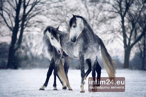 Ищу подругу