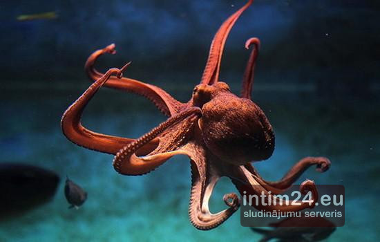 Ищу подругу