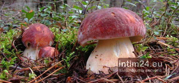 Ищу подругу lv ru