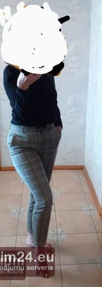 Vera